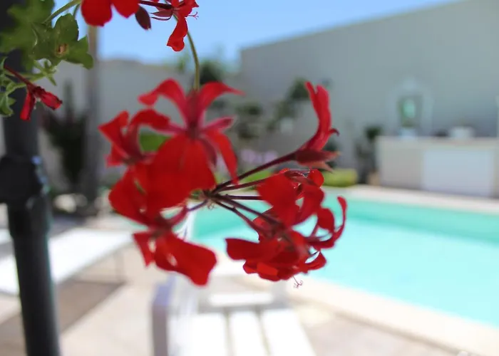 Da Ciuruzzo Apartamento *